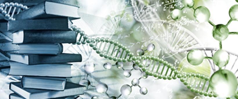 Mindful Eating: A Holistic Approach to Nutrition